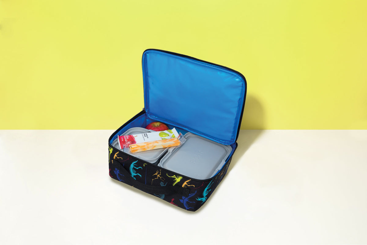 freezable-lunch-box-limited-edition-o6 2022_Lifestyle_Lunch-Box_Dino_Fossils2_Hires.jpg
