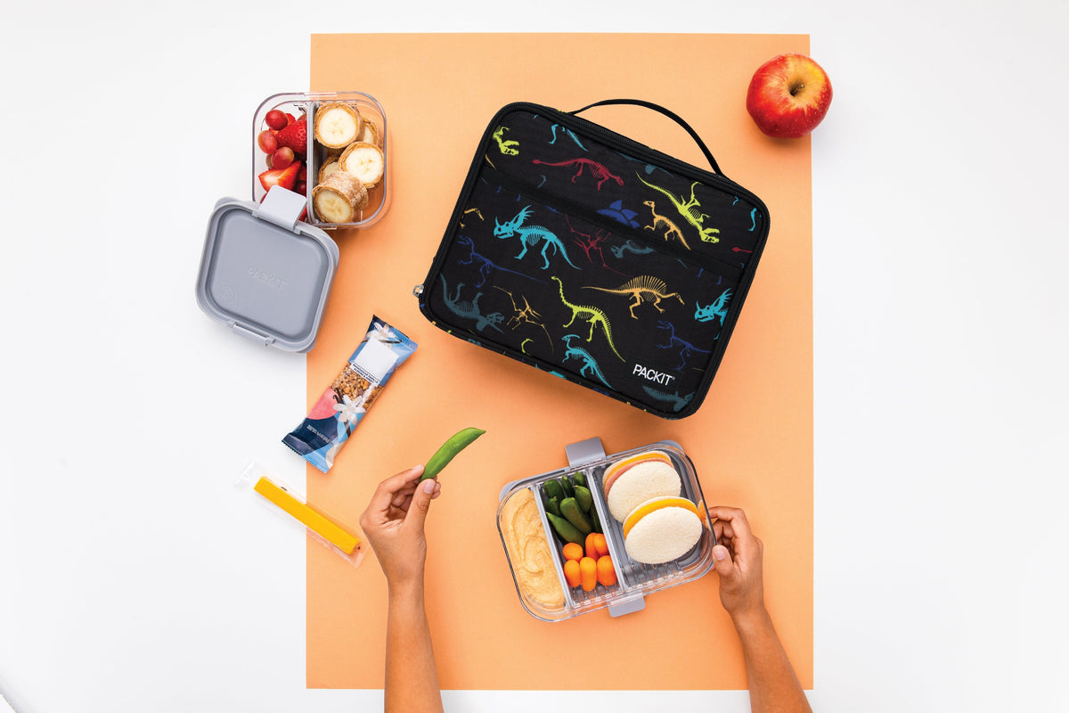 freezable-lunch-box-limited-edition-o6 2022_Lifestyle_Lunch-Box_Dino_Fossils_Hires.jpg